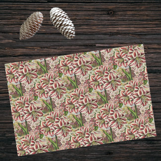 Amaryllis Abundance Red and White Festive Holiday