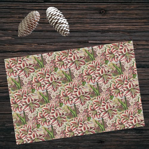 Amaryllis Abundance Red and White Festive Holiday Tissue Paper