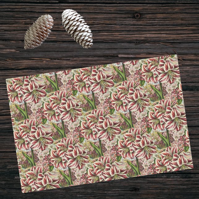 Amaryllis Abundance Red and White Festive Holiday Tissue Paper (Creator Uploaded)