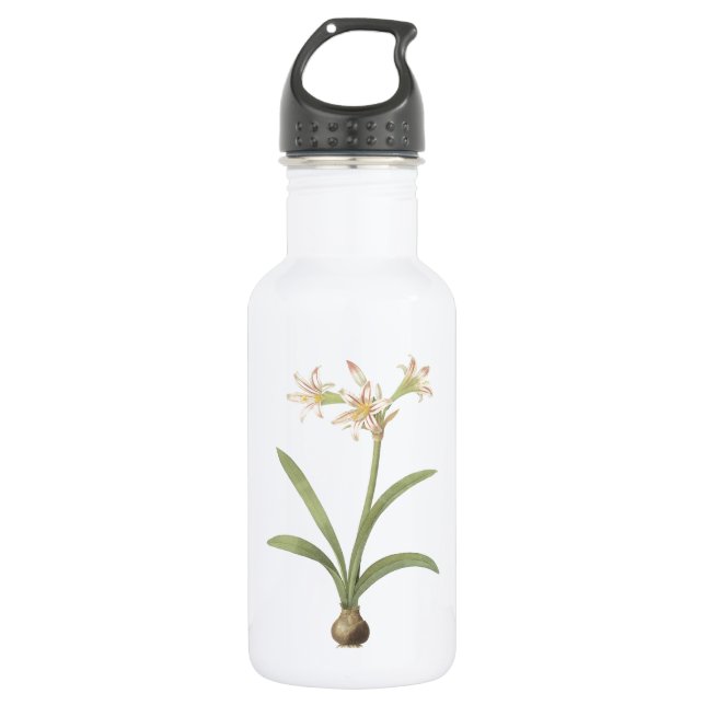 amaryllis(Amaryllis vittata) by Redouté Water Bottle (Front)