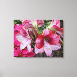 Amaryllis and Poinsettia Red Holiday Flowers Canvas Print