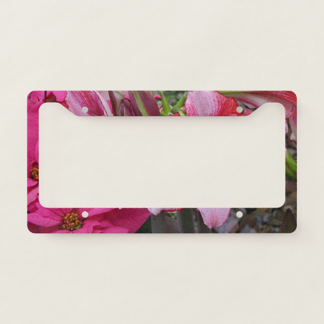 Amaryllis and Poinsettia Red Holiday Flowers License Plate Frame (Front)