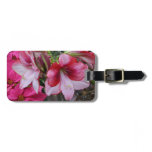 Amaryllis and Poinsettia Red Holiday Flowers Luggage Tag