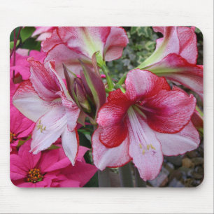 Amaryllis and Poinsettia Red Holiday Flowers Mouse Pad