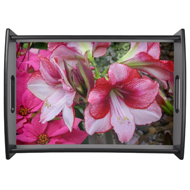 Amaryllis and Poinsettia Red Holiday Flowers Serving Tray (Front)