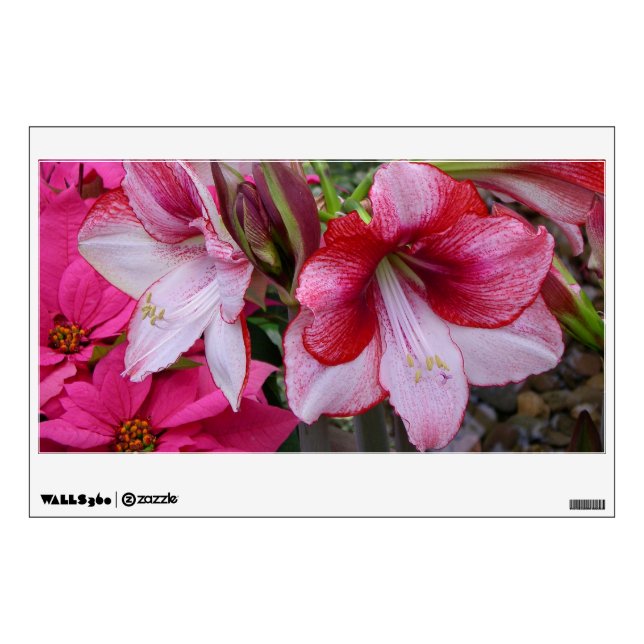 Amaryllis and Poinsettia Red Holiday Flowers Wall Decal (Front)