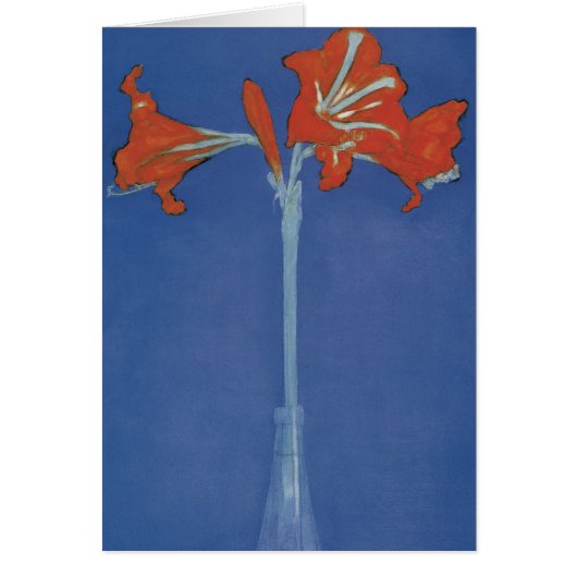 Amaryllis Cards (Front)