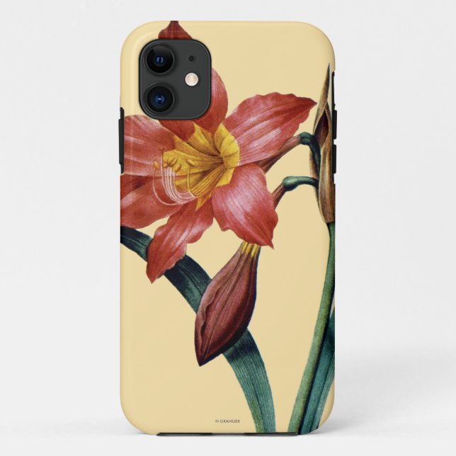 Amaryllis Case-Mate iPhone Case (Back)