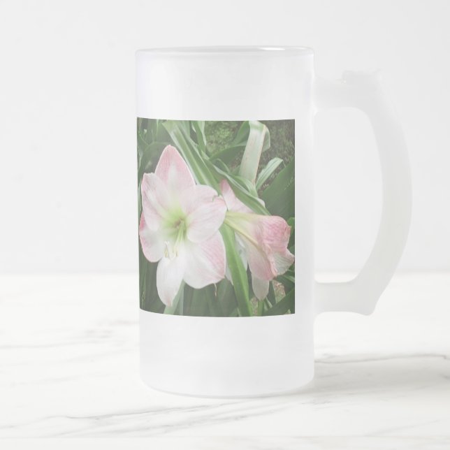 Amaryllis Dancing! Frosted Beverage Glass Frosted Glass Beer Mug (Right)