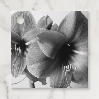 Amaryllis Flower B&W Photo Favor Tags