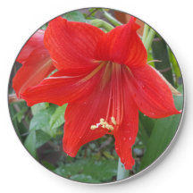 Amaryllis Flower Wireless Charger 