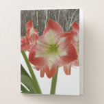 Amaryllis in Snow Pocket Folder