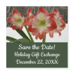 Amaryllis in Snow Red Holiday Winter Floral