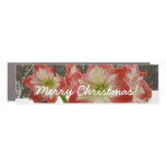 Amaryllis in Snow Red Holiday Winter Floral Car Magnet