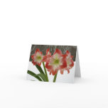 Amaryllis in Snow Red Holiday Winter Floral Card