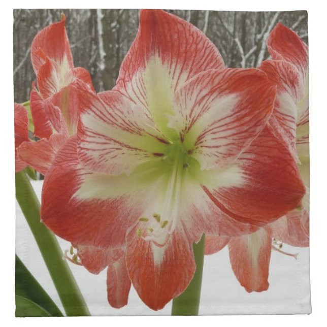 Amaryllis in Snow Red Holiday Winter Floral Cloth Napkin (Front)