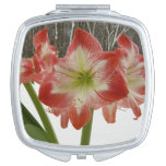 Amaryllis in Snow Red Holiday Winter Floral Compact Mirror