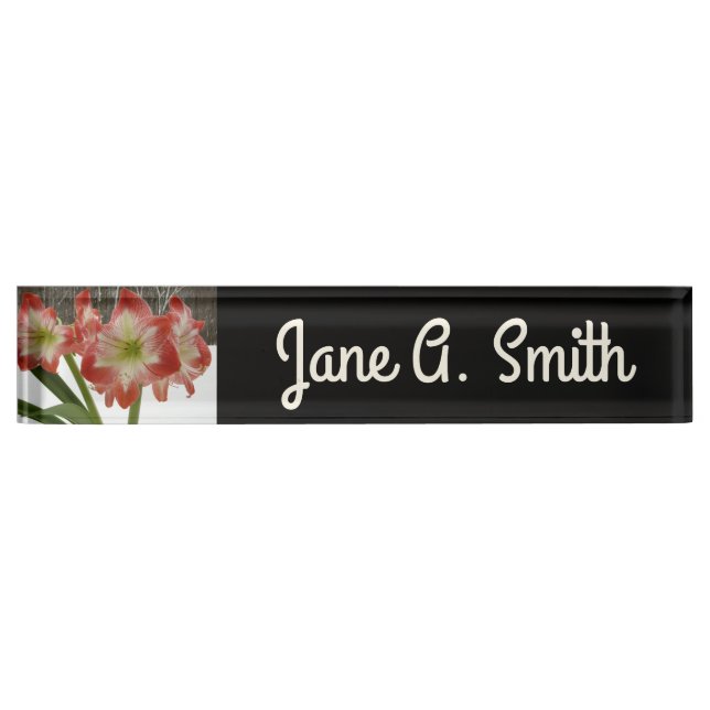 Amaryllis in Snow Red Holiday Winter Floral Desk Name Plate (Front)