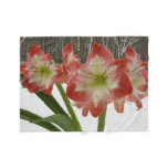 Amaryllis in Snow Red Holiday Winter Floral Fleece Blanket