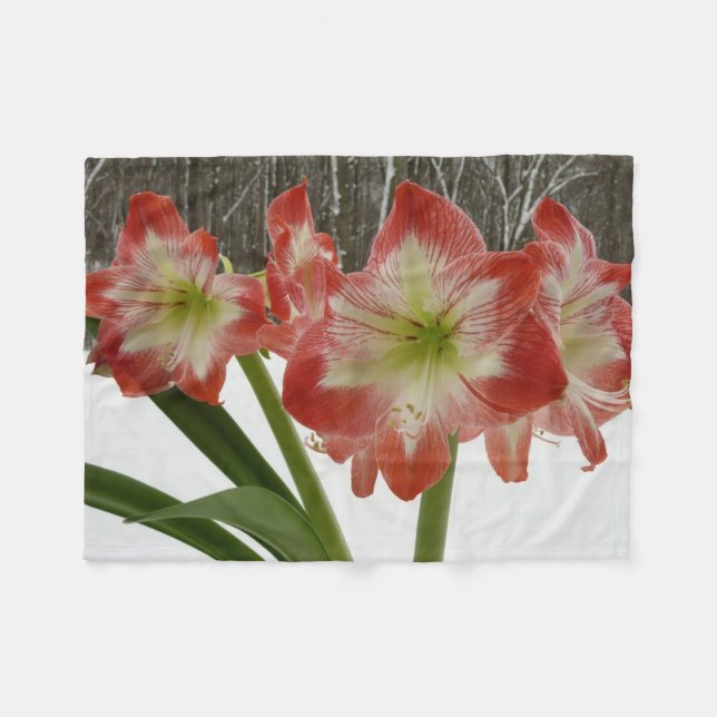 Amaryllis in Snow Red Holiday Winter Floral Fleece Blanket (Front (Horizontal))