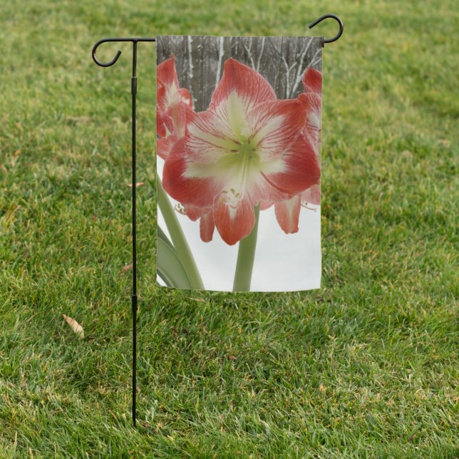Amaryllis in Snow Red Holiday Winter Floral Garden Flag (In SItu)