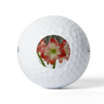 Amaryllis in Snow Red Holiday Winter Floral Golf Balls