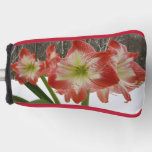 Amaryllis in Snow Red Holiday Winter Floral Golf Head Cover
