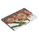 Amaryllis in Snow Red Holiday Winter Floral Guest Book