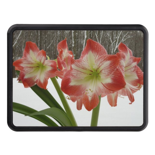 Amaryllis in Snow Red Holiday Winter Floral Hitch Cover (Front)