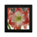 Amaryllis in Snow Red Holiday Winter Floral Jewelry Box