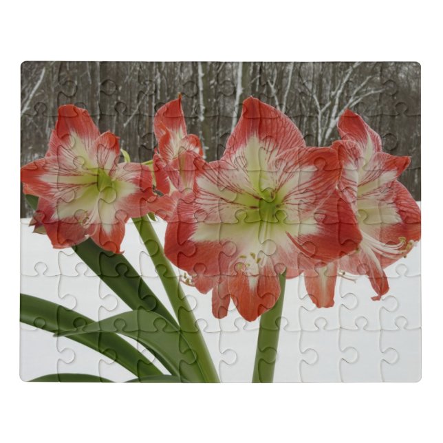 Amaryllis in Snow Red Holiday Winter Floral Jigsaw Puzzle (Puzzle Horizontal)