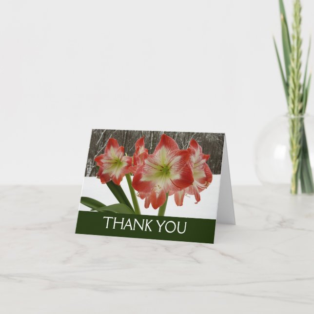 Amaryllis in Snow Red Holiday Winter Floral Letterpress Thank You Card (Front)