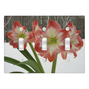 Amaryllis in Snow Red Holiday Winter Floral Light Switch Cover