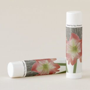 Amaryllis in Snow Red Holiday Winter Floral Lip Balm