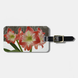 Amaryllis in Snow Red Holiday Winter Floral Luggage Tag