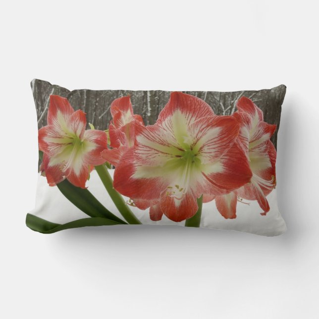 Amaryllis in Snow Red Holiday Winter Floral Lumbar Pillow (Front)