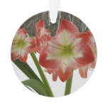 Amaryllis in Snow Red Holiday Winter Floral Ornament