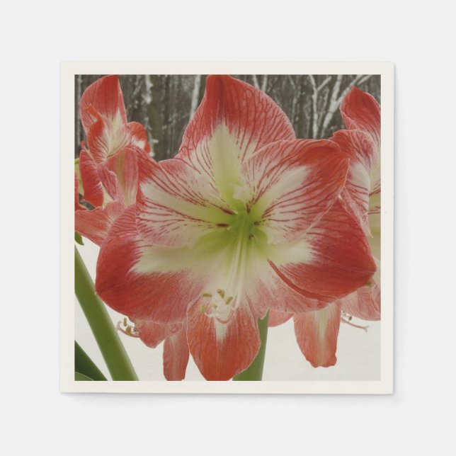 Amaryllis in Snow Red Holiday Winter Floral Paper Napkins (Front)