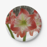Amaryllis in Snow Red Holiday Winter Floral Paper Plates