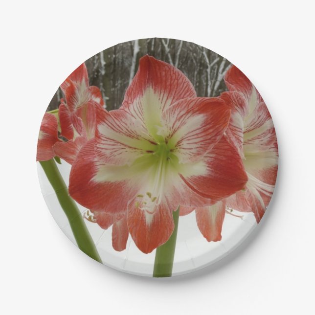Amaryllis in Snow Red Holiday Winter Floral Paper Plates (Front)