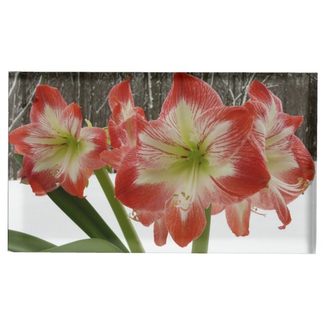 Amaryllis in Snow Red Holiday Winter Floral Place Card Holder (Front)