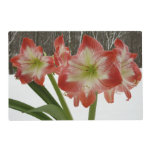 Amaryllis in Snow Red Holiday Winter Floral Placemat