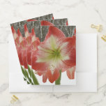 Amaryllis in Snow Red Holiday Winter Floral Pocket Folder