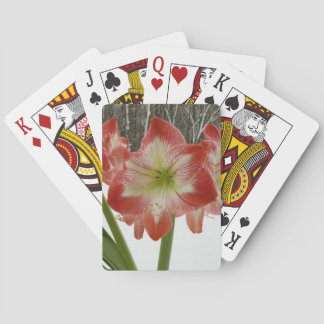 Amaryllis in Snow Red Holiday Winter Floral Poker Cards