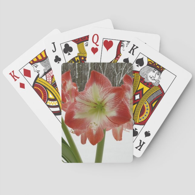 Amaryllis in Snow Red Holiday Winter Floral Poker Cards (Back)