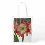 Amaryllis in Snow Red Holiday Winter Floral Reusable Grocery Bag