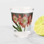 Amaryllis in Snow Red Holiday Winter Floral Shot Glass