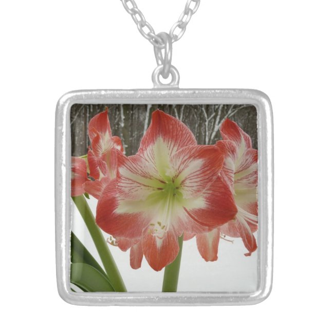 Amaryllis in Snow Red Holiday Winter Floral Silver Plated Necklace (Front)