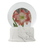 Amaryllis in Snow Red Holiday Winter Floral Snow Globe