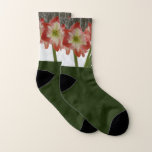 Amaryllis in Snow Red Holiday Winter Floral Socks